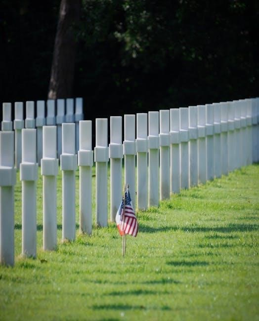 world war 1 study guide the great war