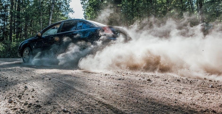 dust tracks on a road pdf