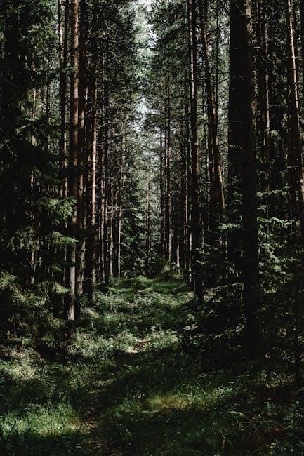 interpretive guide certification