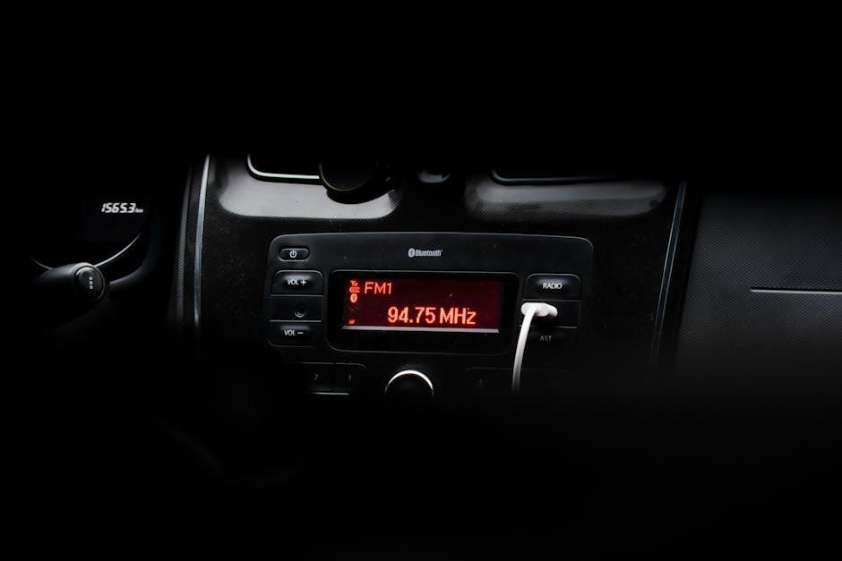 naifay car stereo manual