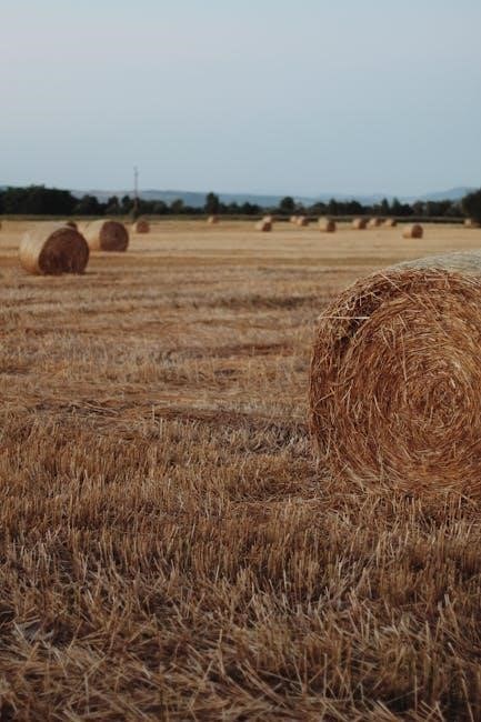 meet your strawman pdf free download